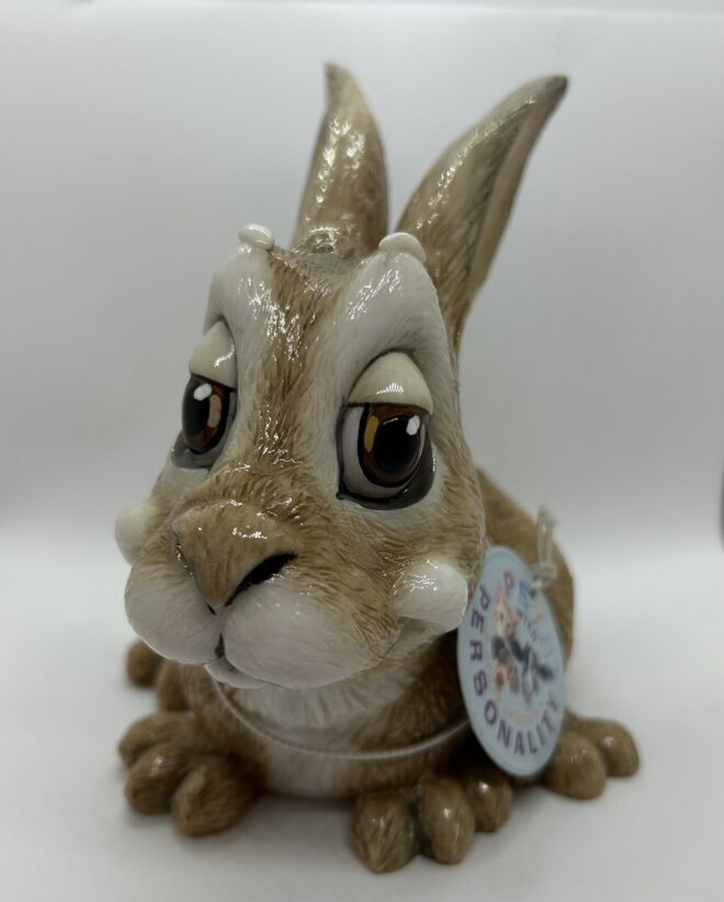 Pets With Personality - Chloe - Rabbit - 5580-CWP-CHLO