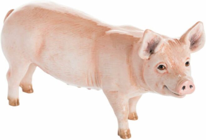 John Beswick - Farmyard pig - JBF94.