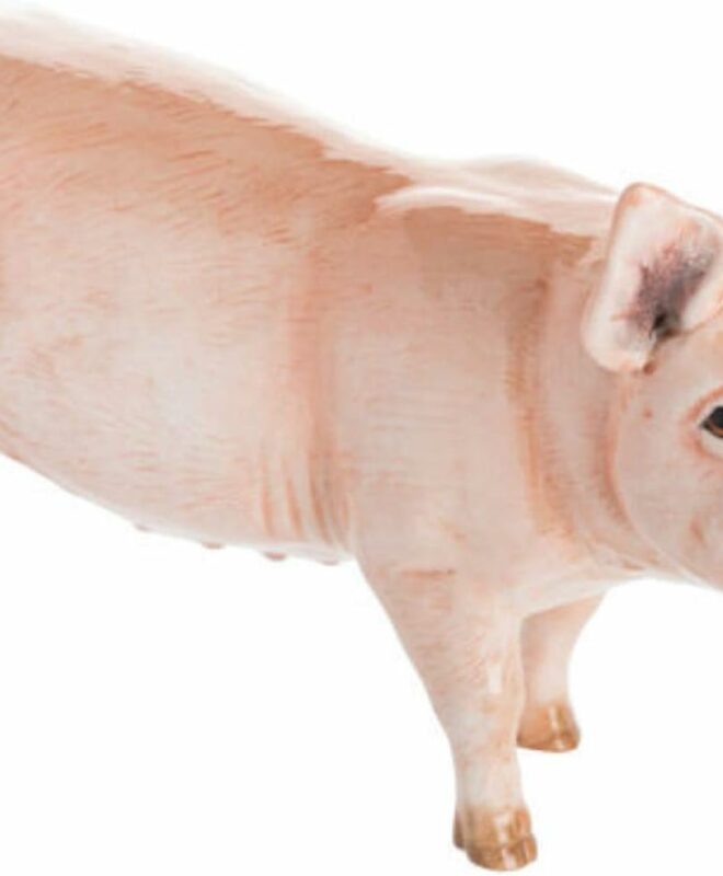John Beswick - Farmyard pig - JBF94.